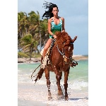 p1233712331.jpg
Počet zobrazení: 1750 (6159.3844 dní) pr.=0.2841
Rozměr: 400 x 600 pixel
Velikost: 205.4 kB