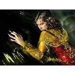 111092479.jpg
Počet zobrazení: 1528 (6490.8792 dní) pr.=0.2354
Rozměr: 600 x 449 pixel
Velikost: 240.197 kB